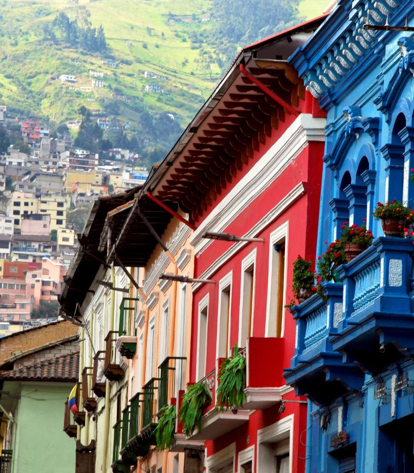 Young Learner Teacher Full Time in Quito IH World